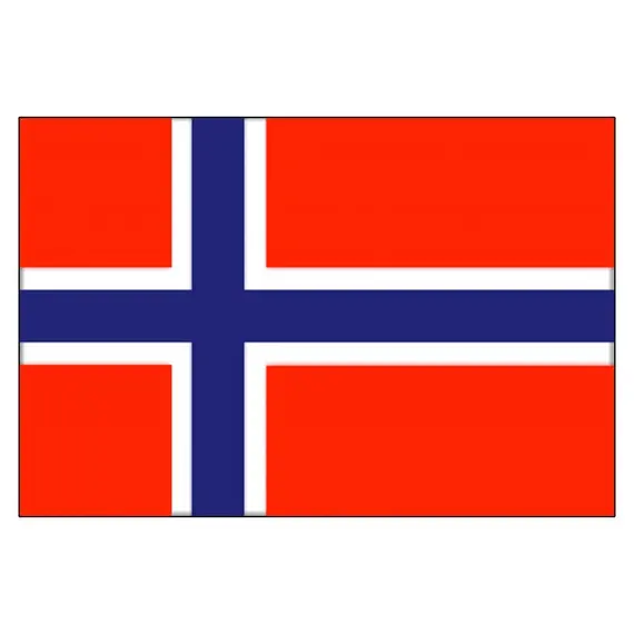 Drapeau de la Norvège - 20x30cm