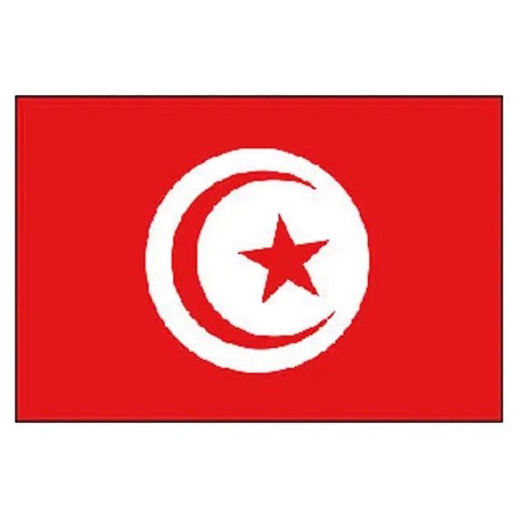 Drapeau de la Tunisie - 30x45cm, Dimensions, cm: 30x45