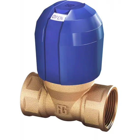 Safety Intake Bronze Valve - 3/4", Thread: F3/4"