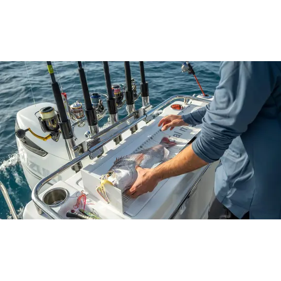 Beneteau Antares 8 Pêche, 11 image Beneteau Antares 8 Pêche, 11 image