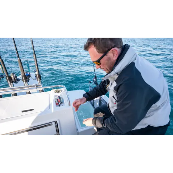 Beneteau Antares 8 Pêche, 12 image Beneteau Antares 8 Pêche, 12 image