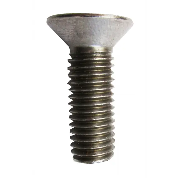 Bolt flat head and cross cutting TSP 965 A2 - diameter 6x20mm