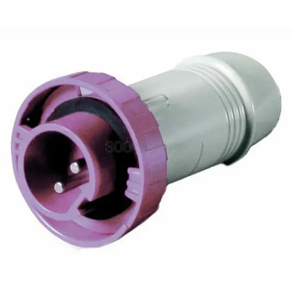 Plug 2P 12/24V. 16A IP67