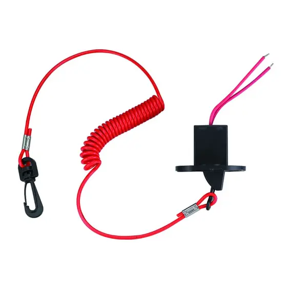 Automatic Ignition Cut-off System