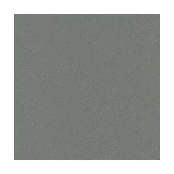 Stamoid F4313-20218 Gris nuage