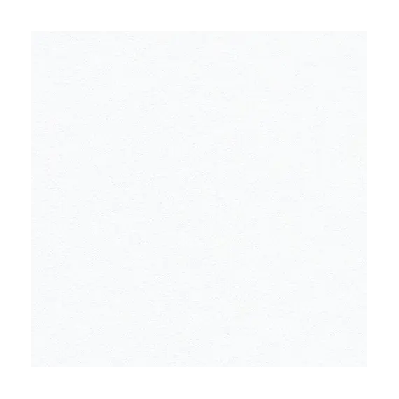 Stamoid F4128-10309 Blanc neige
