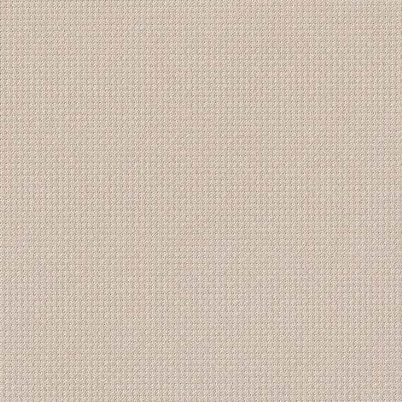 Beacon 541893 Champagne