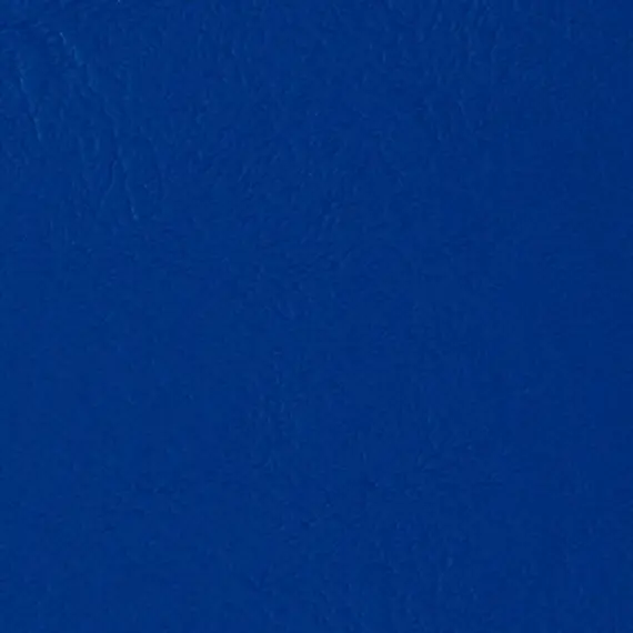 Grand cayman Regal bleu ogcy 1015