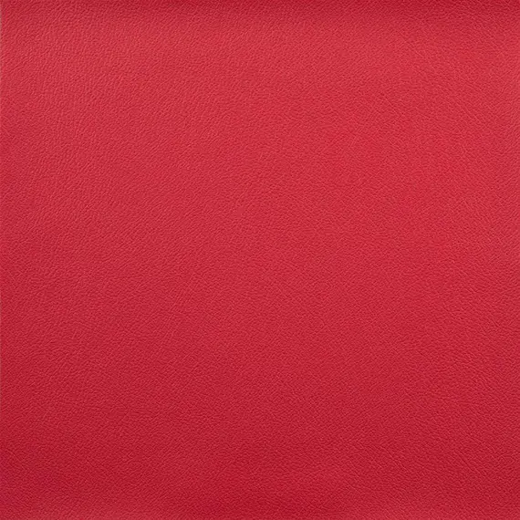 Vista Cardinal 514978