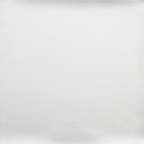 Vista Snow cap 515206