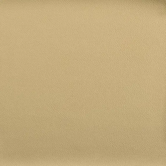 Vista Maize 519926