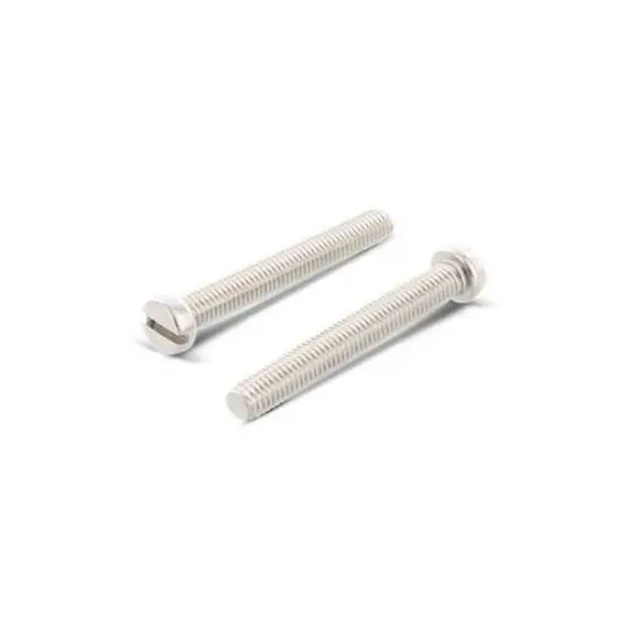 Vis sans tête cylindrique fendue DIN 84 A4 M6x10