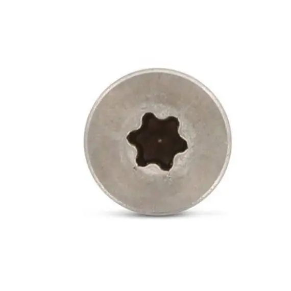 Agglo Screw - A2 Stainless Steel, 45x45/30 TX20