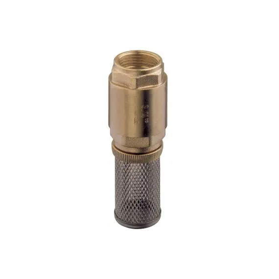 Brass Check Valve with Stainless Steel Basket
